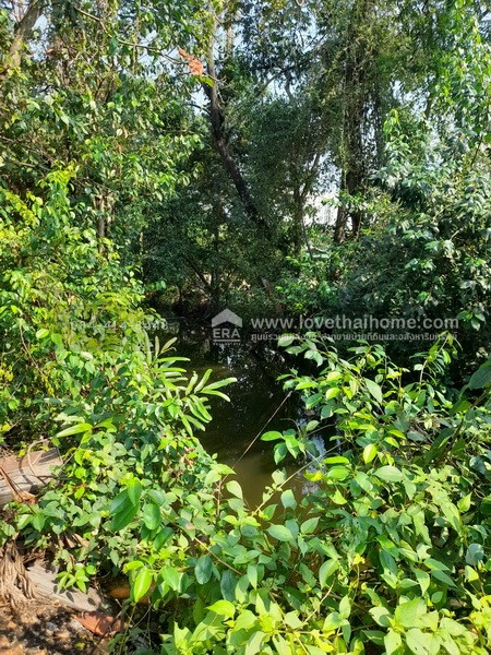 ขายที่ดินพระราม2 ซอยอนามัยงามเจริญ33 แยก1 บางขุนเทียน ใกล้ทางด่วนพระราม2 พื้นที่ 9-1-81ไร่ ราคาสุดคุ้มวาละ30,000บาท แปลงที่ดินขนาดใหญ่ หาไม่ได้ง่ายในโซนพระราม 2 เข้าทางวัดยายร่ม เพียง 5 กม. ถึงถนนพระราม2 