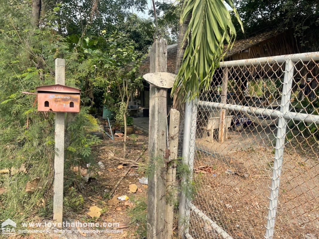 ขายด่วน ขายถูก ที่ดิน ย่านขุนศรี ติดริมถนนทางหลวงชนบท4118 ต.ขุนศรี อ.ไทรน้อย จ.นนทบุรี เนื้อที่ 4 ไร่ 3 งาน 98 ตรว. ราคา 6,500,000 บาท ตารางวาละ 3,253 บาท