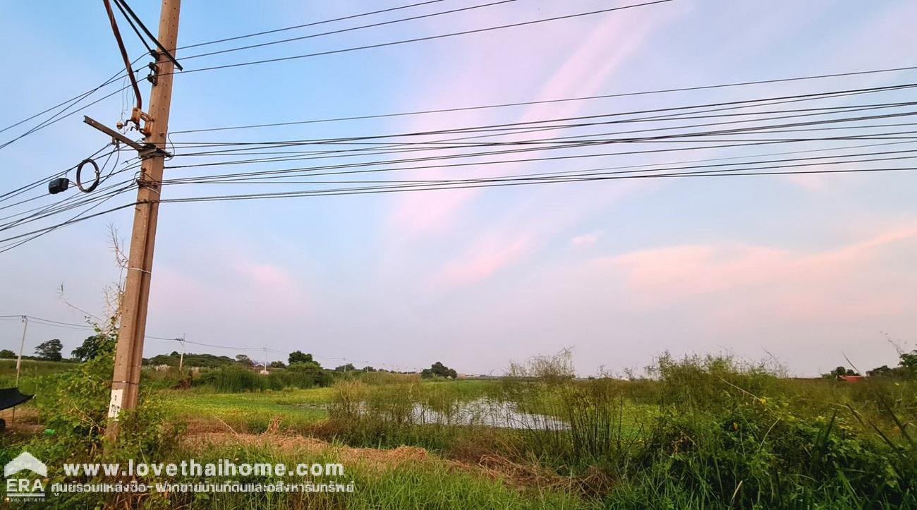 ขายที่ดินติดถนนคุ้มเกล้า ลาดกระบัง ช่วงซอย 49 และ51 ใกล้ท่าอากาศสุวรรณภูมิ พื้นที่ 50-3-79 ไร่ (ขายยกแปลง 6 โฉนด/แบ่งขายได้)