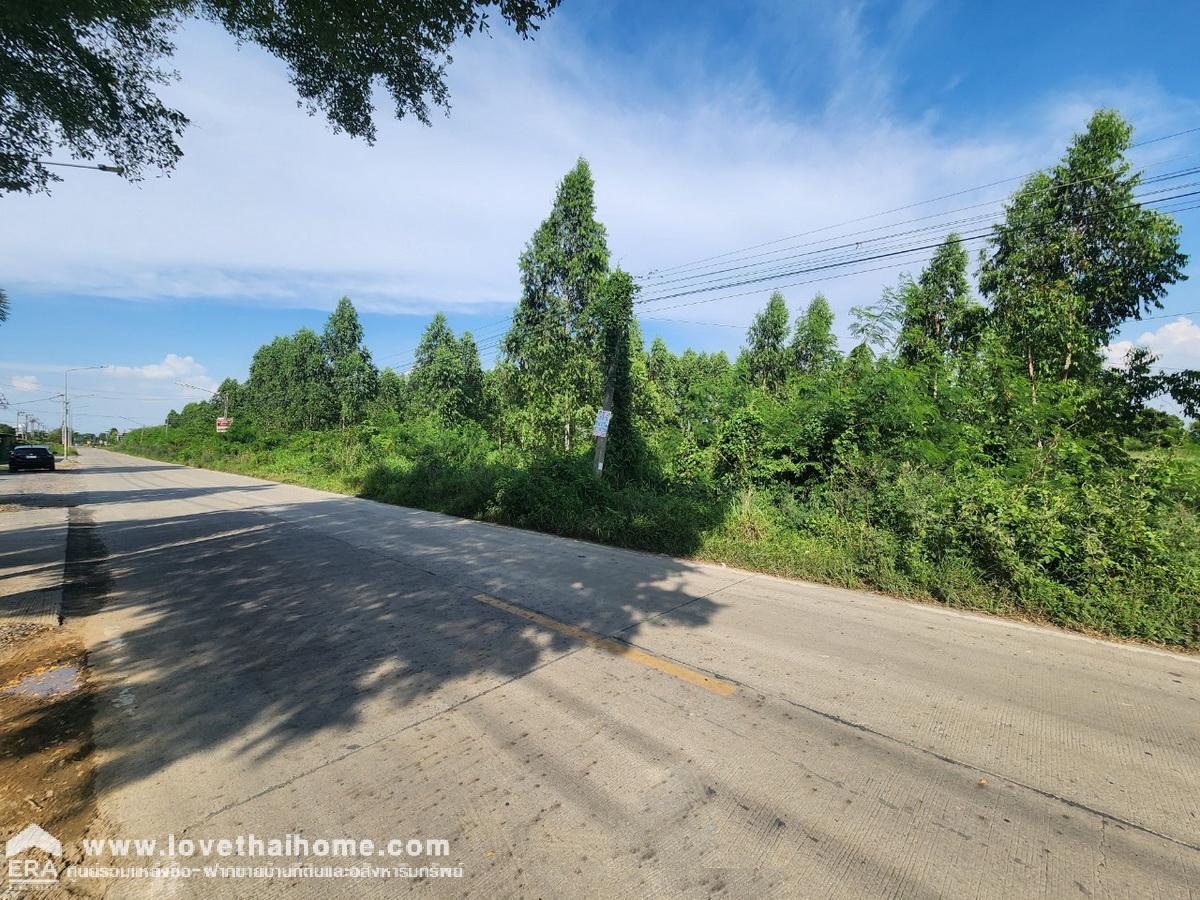 ขายที่ดิน ลำลูกกา คลอง 9 ซอยลำลูกกา 181 ปทุมธานี พื้นที่ 10 ไร่ 120 ตรว. หน้ากว้าง 244 เมตร ติดถนน ทำเลดี ราคาต่อรองได้