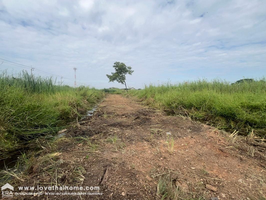 ขายที่ดิน ซอยคุ้มเกล้า11 ถนนลาดกระบัง พื้นที่ 139 ตรว. ขายเพียง 3.5 ล้านบาท ราคาถูก ใกล้หมู่บ้านปาริชาติ ที่สวยทำเลทอง