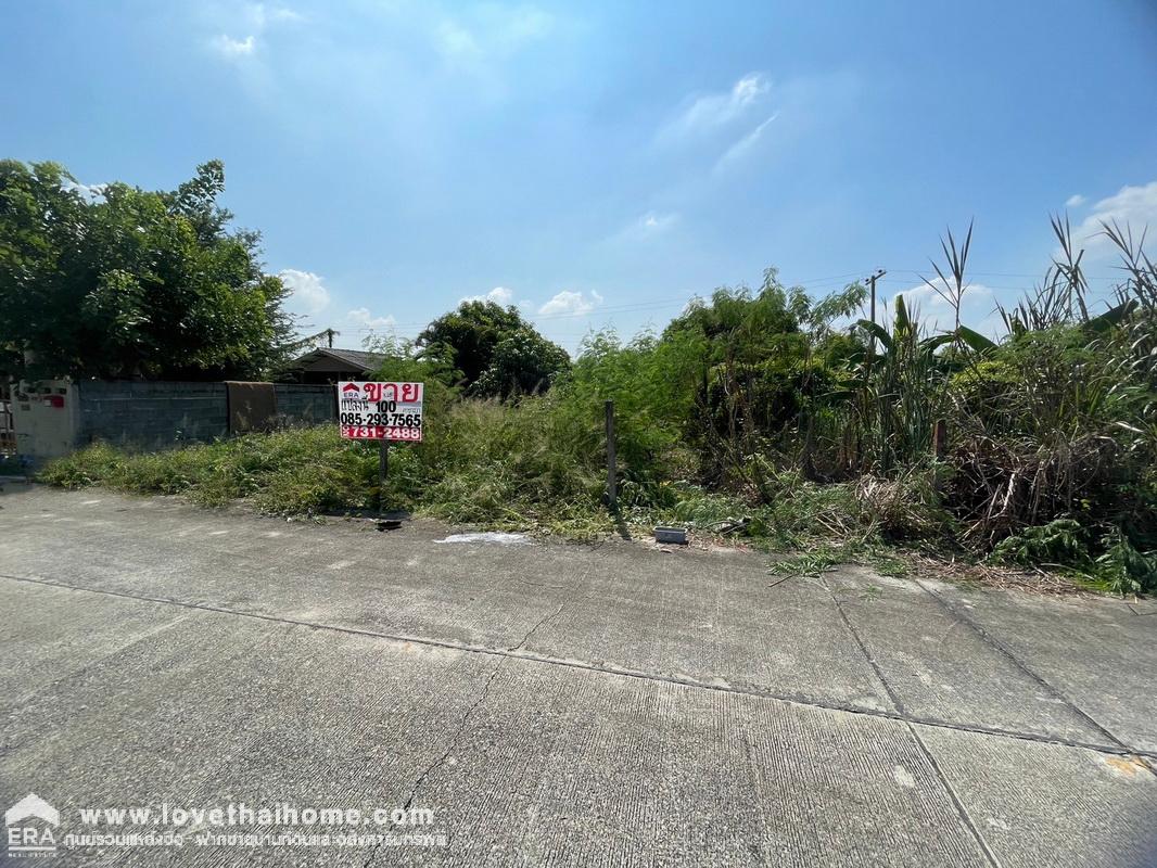 ขายที่ดิน ซอยคลองสี่ตะวันออก23 ถนนรังสิต-นครนายก คลองหลวง พื้นที่ 100 ตารางวา ใกล้มอเตอร์เวย์