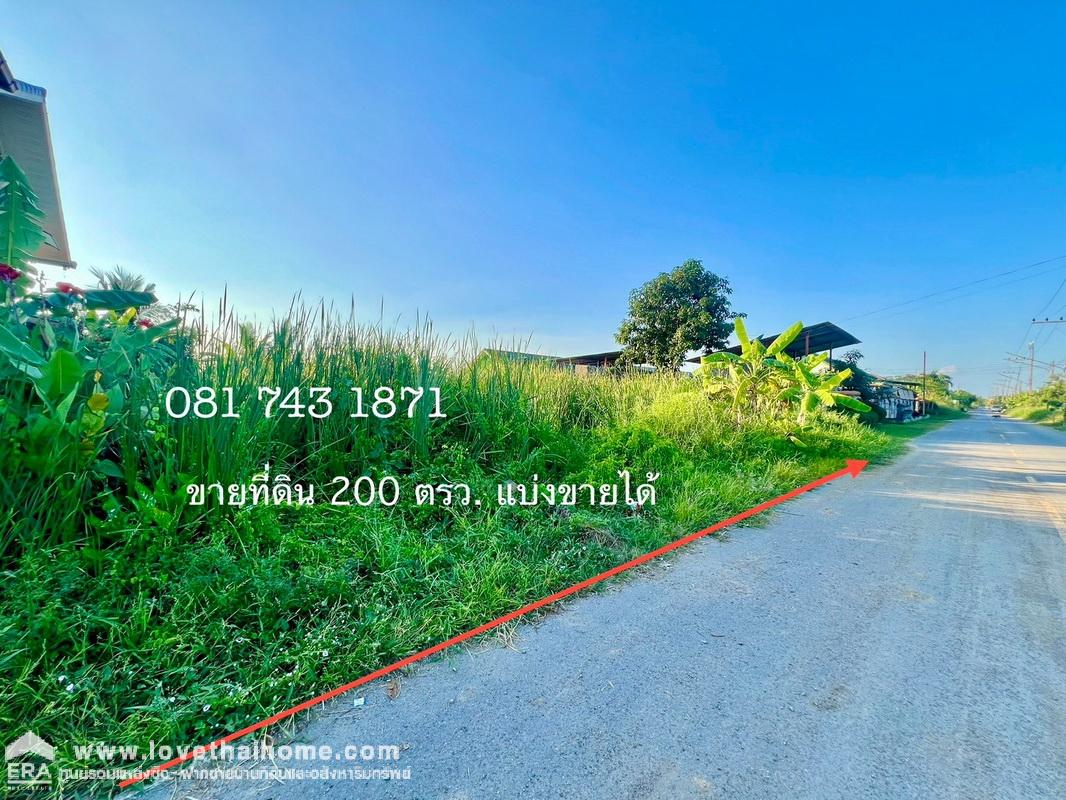 ขายที่ดิน รังสิต-นครนายก คลอง9 เนื้อที่ 200 ตรว. ติดเรือนศิลา โฮมสเตย์ ใกล้บ้านเอื้ออาทร รังสิต คลอง9 ธัญบุรี จ.ปทุมธานี แบ่งขายได้