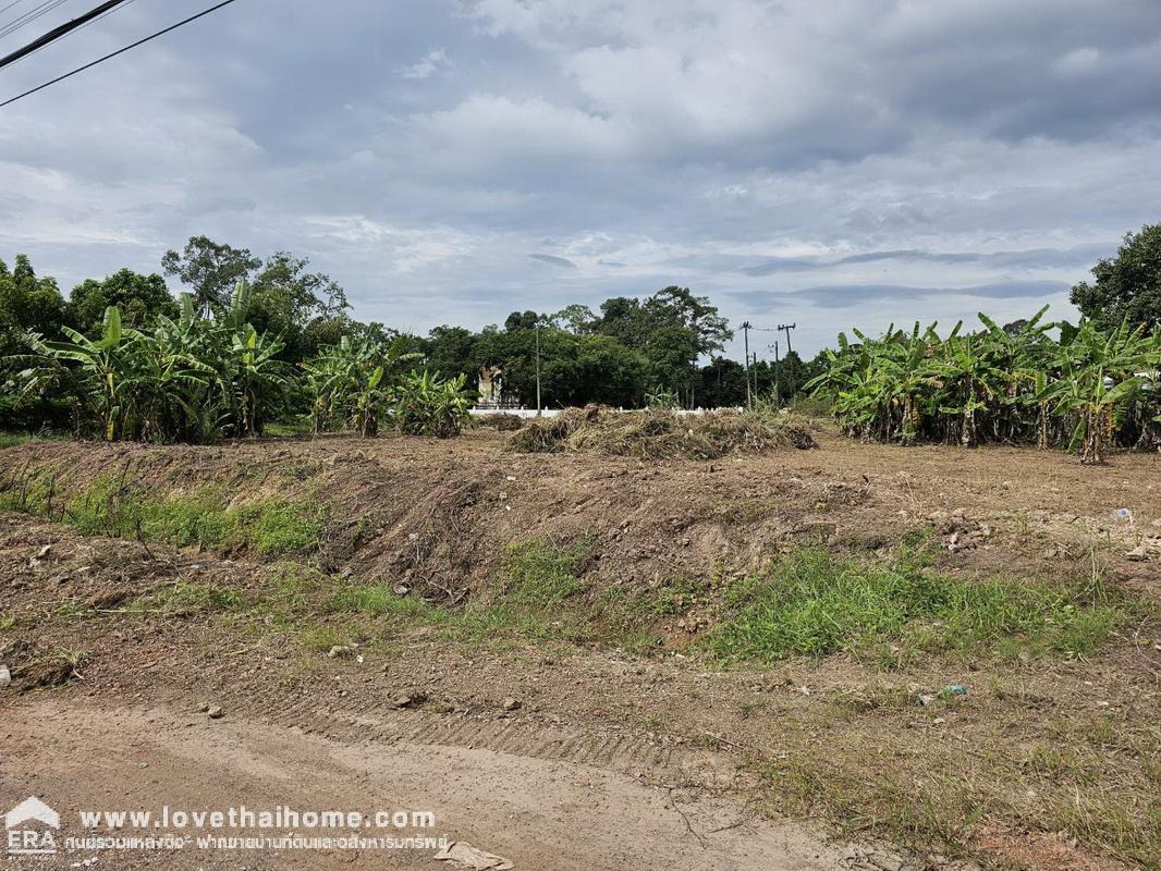 ขายที่ดิน ในตัวเมืองปราจีนบุรี ต.ไม้เค็ด ถ.ทางหลวงชนบท ปราจีนบุรี 3008 พื้นที่ 2-2-17 ไร่ ห่างศูนย์ราชการจังหวัดปราจีนบุรี เพียง 3 กม.