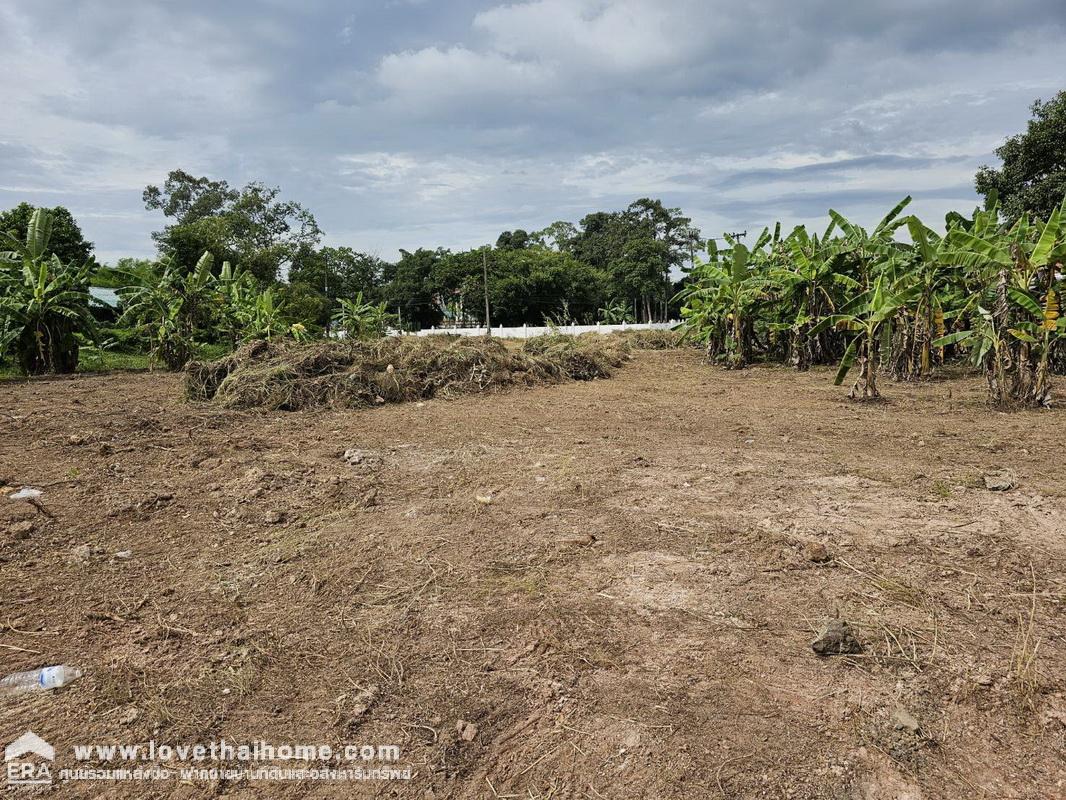 ขายที่ดิน ในตัวเมืองปราจีนบุรี ต.ไม้เค็ด ถ.ทางหลวงชนบท ปราจีนบุรี 3008 พื้นที่ 2-2-17 ไร่ ห่างศูนย์ราชการจังหวัดปราจีนบุรี เพียง 3 กม.