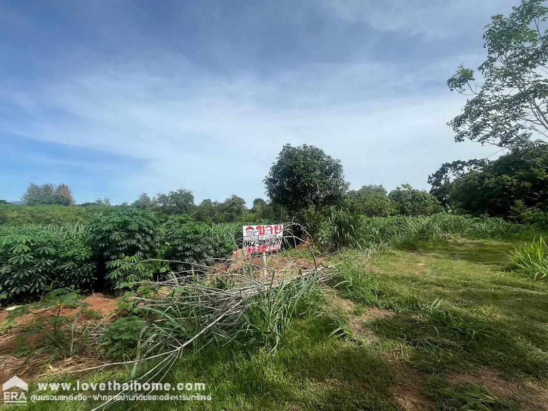 ขายที่ดินเปล่า ใกล้อุทยานแห่งชาติเขาใหญ่ ที่สวยถมแล้ว ใกล้เคียงอุทยานแห่งชาติเขาใหญ่ พื้นที่ 3 ไร่ ขาย 9 ล้านบาท ต.หมูสี อ.ปากช่อง จ.นครราชสีมา