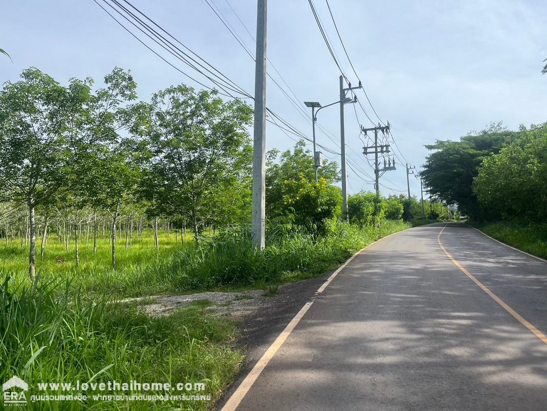 ขายที่ดินเปล่า ใกล้อุทยานแห่งชาติเขาใหญ่ ที่สวยถมแล้ว ใกล้เคียงอุทยานแห่งชาติเขาใหญ่ พื้นที่ 3 ไร่ ขาย 9 ล้านบาท ต.หมูสี อ.ปากช่อง จ.นครราชสีมา