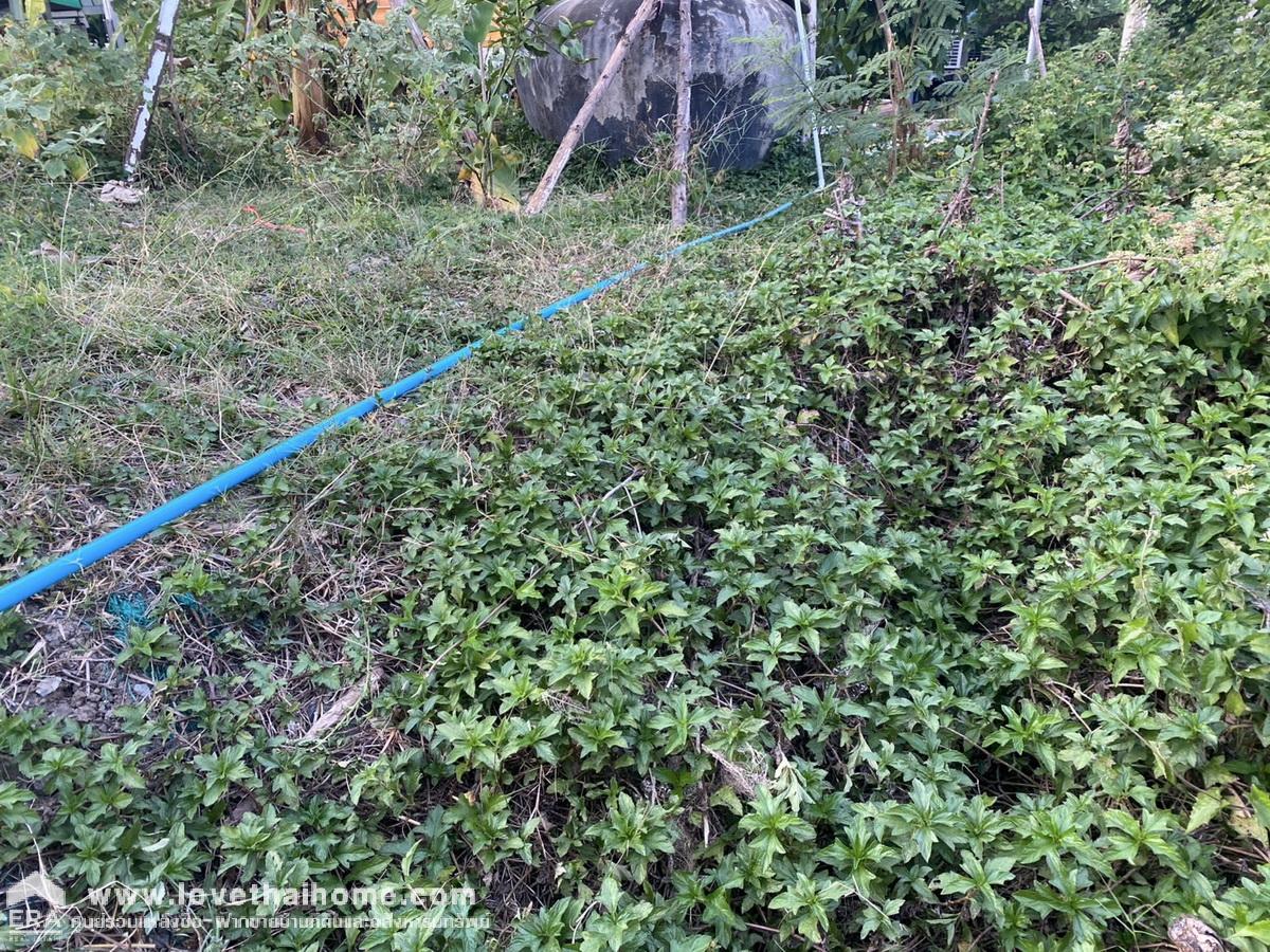 ขายที่ดินราคาถูก ถนนราษฎร์พัฒนา 15 ย่านสะพานสูง พื้นที่ 400 ตรว. 