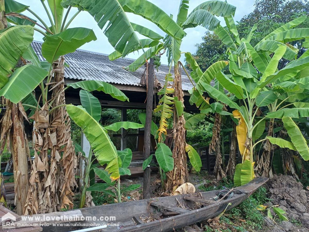 ขายที่ดินราคาถูก ถนนราษฎร์พัฒนา 15 ย่านสะพานสูง พื้นที่ 400 ตรว. 