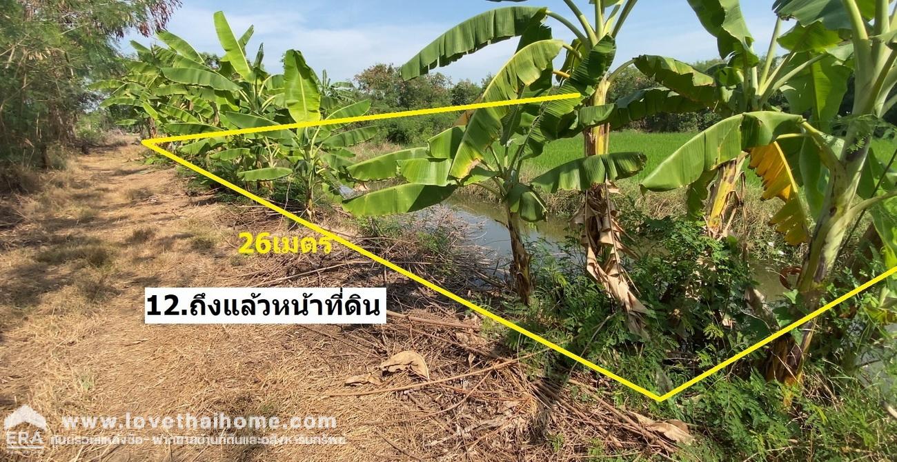 ขายที่ดินราคาถูก คลองถนน ต.บ้านใหม่ อ.บางใหญ่ นนทบุรี พื้นที่ 224 ตรว. เข้าซอยย่อยไปอีก 500 เมตร