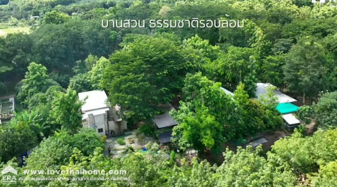 ขายถูกที่ดินพร้อมบ้าน บ้านธาตุภูซาง พะเยา (เข้าทางวัดพระธาตุภูซาง) พื้นที่ 3-2-12 ไร่ ขายถูกที่สุดในบริเวณนี้ ทำเลดี ใกล้แหล่งท่องเที่ยวระดับต้นๆ ของจังหวัด