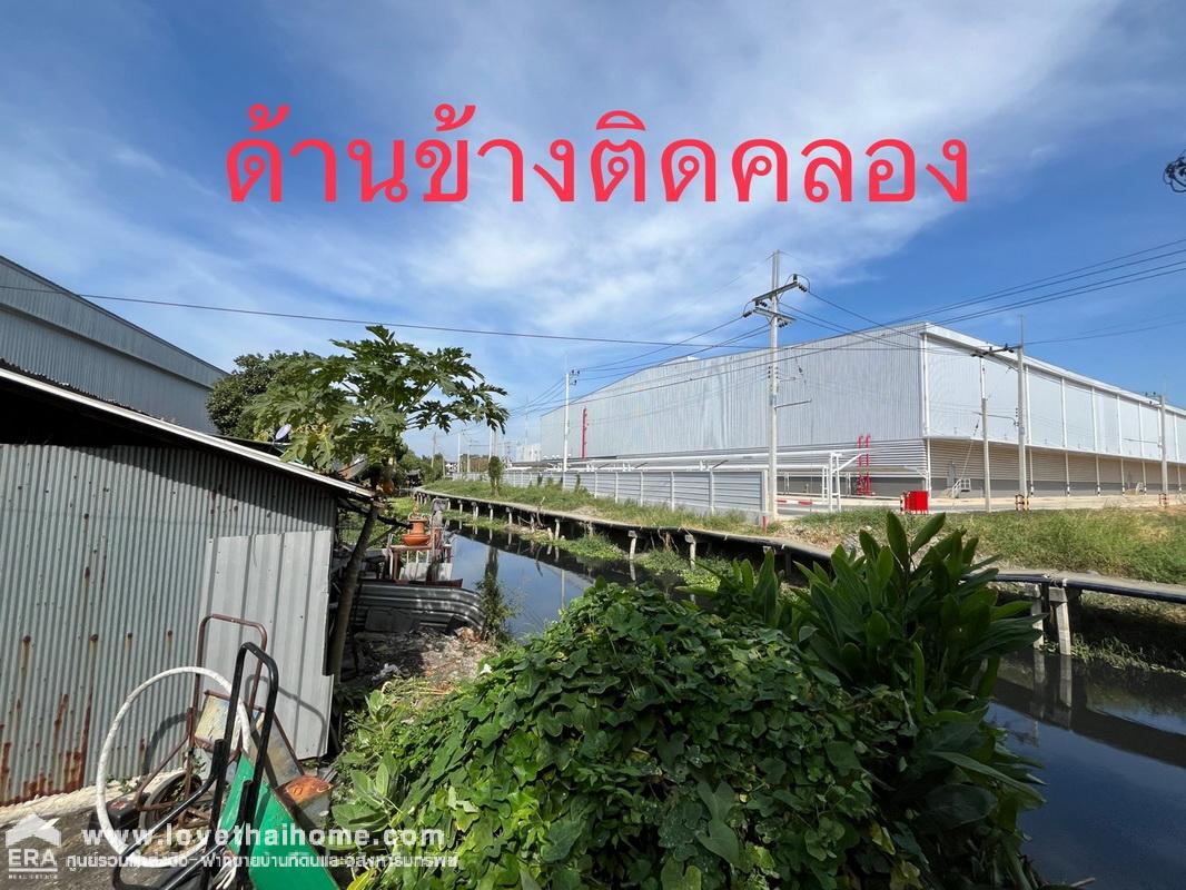 ขายโกดัง ซอยบางปลา42 ถนนเทพารักษ์ กม.19 พื้นที่ 2-1-14.1 ไร่ สวย พร้อมใช้งาน ถูกใจชัวร์ๆ ราคาไม่แพง ด่วนๆ