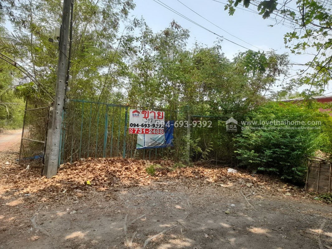 ขายบ้านพร้อมที่ดิน ติดถนนเมนใหญ่ประชาสำราญ หนองจอก พื้นที่ 387 ตรว. ทำเลดีมาก เหมาะสำหรับทำธุรกิจ ต่อยอดทางการเงินได้ และเป็นที่พักอาศัยบรรยากาศดี ติดถนน 3 ด้าน และติดคลอง ราคาต่อรองได้ เจ้าของรีบขาย