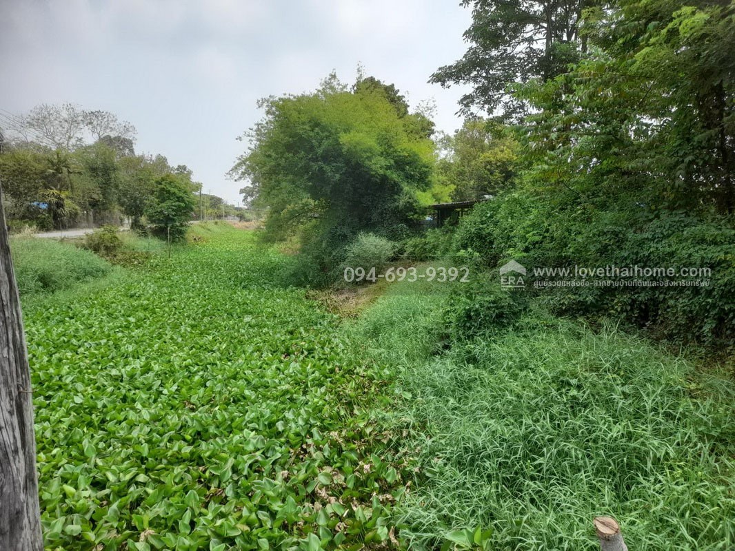 ขายบ้านพร้อมที่ดิน ติดถนนเมนใหญ่ประชาสำราญ หนองจอก พื้นที่ 387 ตรว. ทำเลดีมาก เหมาะสำหรับทำธุรกิจ ต่อยอดทางการเงินได้ และเป็นที่พักอาศัยบรรยากาศดี ติดถนน 3 ด้าน และติดคลอง ราคาต่อรองได้ เจ้าของรีบขาย