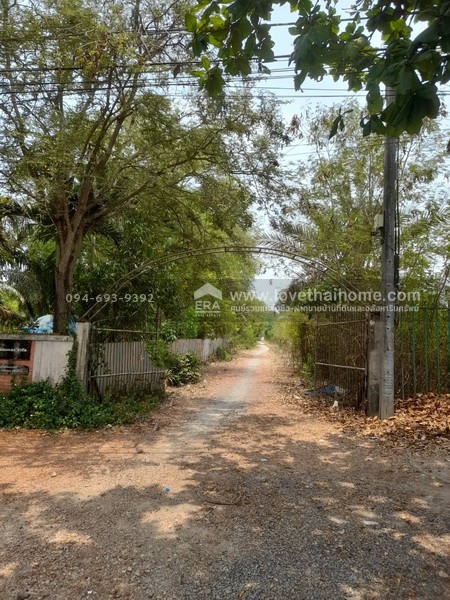 ขายบ้านพร้อมที่ดิน ติดถนนเมนใหญ่ประชาสำราญ หนองจอก พื้นที่ 387 ตรว. ทำเลดีมาก เหมาะสำหรับทำธุรกิจ ต่อยอดทางการเงินได้ และเป็นที่พักอาศัยบรรยากาศดี ติดถนน 3 ด้าน และติดคลอง ราคาต่อรองได้ เจ้าของรีบขาย
