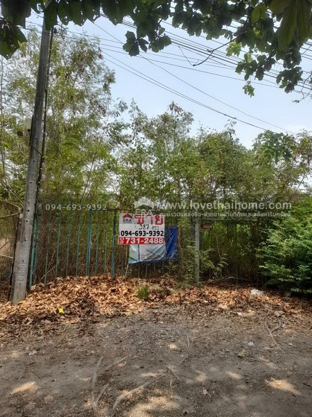ขายบ้านพร้อมที่ดิน ติดถนนเมนใหญ่ประชาสำราญ หนองจอก พื้นที่ 387 ตรว. ทำเลดีมาก เหมาะสำหรับทำธุรกิจ ต่อยอดทางการเงินได้ และเป็นที่พักอาศัยบรรยากาศดี ติดถนน 3 ด้าน และติดคลอง ราคาต่อรองได้ เจ้าของรีบขาย