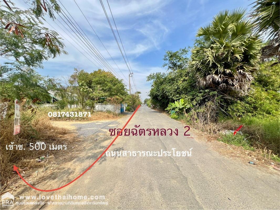 ขายที่ดินถมแล้ว ซอยฉัตรหลวง2 ถนนบางกรวย-ไทรน้อย แปลงสวยสี่เหลี่ยมผืนผ้า พื้นที่ 60 ตรว. ใกล้การไฟฟ้าย่อยไทรน้อย บางบัวทอง จ.นนทบุรี ซื้อจริง ลดราคาได้