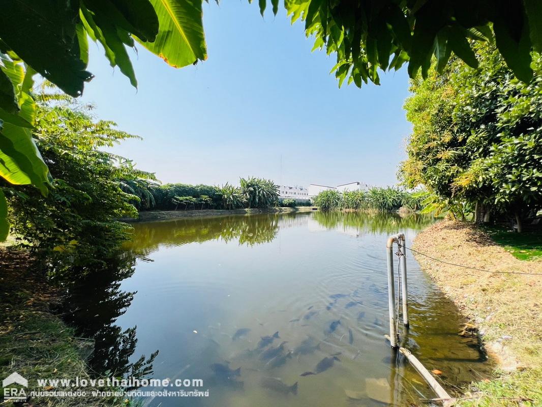 ขายที่ดิน ติดถนนซอยร่มโพธิ์ทอง2 บางกรวย-ไทรน้อย จ.นนทบุรี  พื้นที่ 4 ไร่ 3 งาน 39.20 ตรว. แถมบ้านปลูกสร้างเอง 1 หลัง ใกล้ MRT บางพลู,บางรักใหญ่