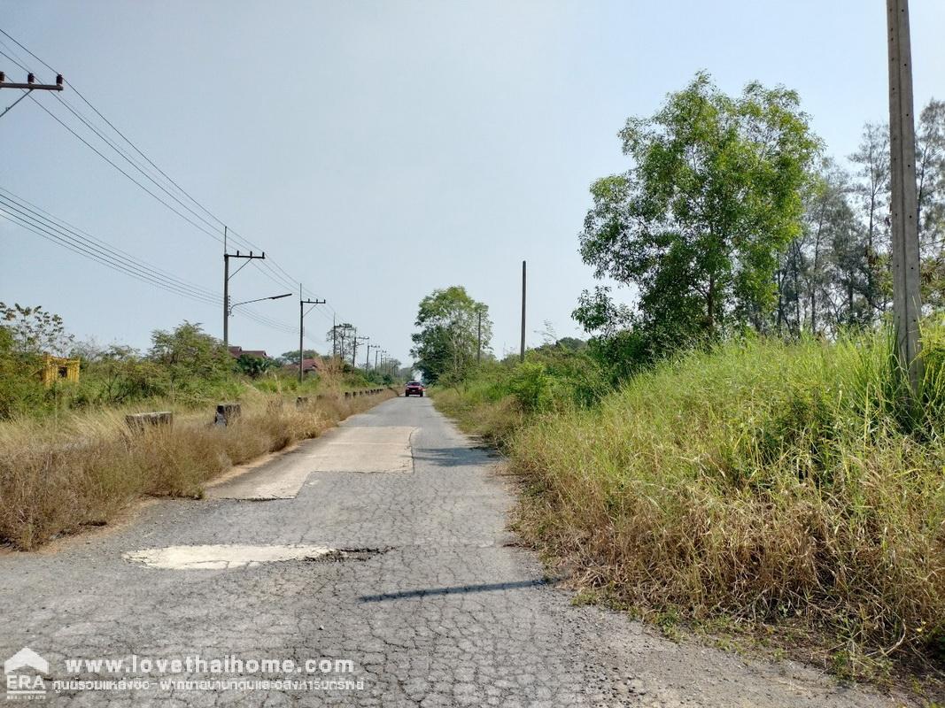 ขายที่ดินคลอง13 หนองเสือ ปทุมธานี แปลงมุม 110 ตรว. มี 2 แปลงติดกัน ขายถูกที่สุดในซอยนี้ ใกล้ มหาวิทยาลัยการกีฬาแห่งชาติ วิทยาเขตกรุงเทพ