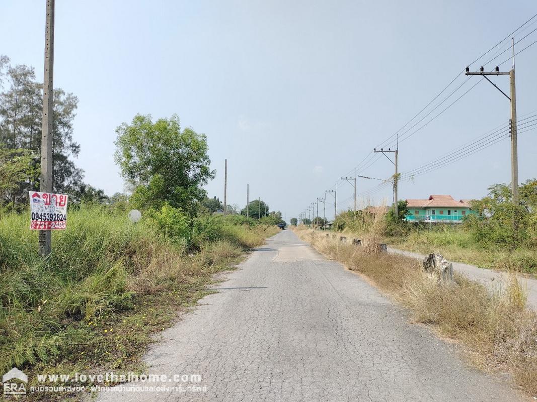 ขายที่ดินคลอง13 หนองเสือ ปทุมธานี แปลงมุม 110 ตรว. มี 2 แปลงติดกัน ขายถูกที่สุดในซอยนี้ ใกล้ มหาวิทยาลัยการกีฬาแห่งชาติ วิทยาเขตกรุงเทพ