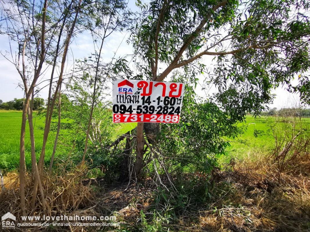 ขายที่ดินพระนครศรีอยุธยา อ.อุทัย ต.บ้านตลาด ใกล้นิคมอุตสาหกรรมโรจนะ 14-1-60 ไร่ ที่ดินเป็นพื้นที่สีเขียว ขายถูก/ราคาต่อรองได้ โฉนดพร้อมโอน