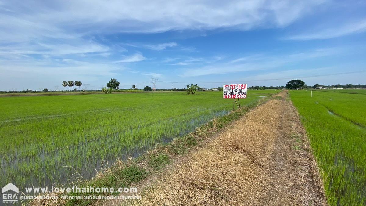 ขายด่วนที่ดิน บางชำอ้อ หนองเสือ คลอง8 ซอยอินทร์อนุสรณ์ ปทุมธานี ขายถูกมาก รูปแปลงสวย ราคา 750,000 บาท เนื้อที่ 612 ตรว. หน้ากว้าง 40 เมตร ลึก 60 เมตร ตารางวาละ 1,255 บาท หันหน้าไปทางทิศใต้