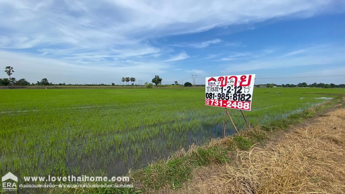 ขายด่วนที่ดิน บางชำอ้อ หนองเสือ คลอง8 ซอยอินทร์อนุสรณ์ ปทุมธานี ขายถูกมาก รูปแปลงสวย ราคา 750,000 บาท เนื้อที่ 612 ตรว. หน้ากว้าง 40 เมตร ลึก 60 เมตร ตารางวาละ 1,255 บาท หันหน้าไปทางทิศใต้