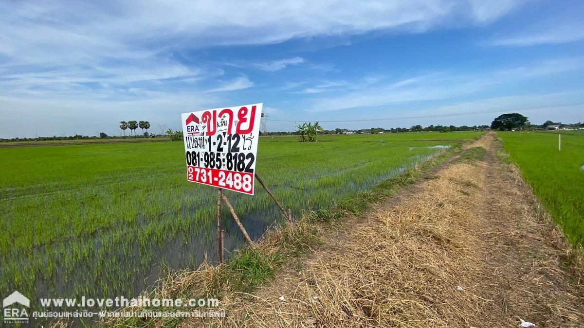 ขายด่วนที่ดิน บางชำอ้อ หนองเสือ คลอง8 ซอยอินทร์อนุสรณ์ ปทุมธานี ขายถูกมาก รูปแปลงสวย ราคา 750,000 บาท เนื้อที่ 612 ตรว. หน้ากว้าง 40 เมตร ลึก 60 เมตร ตารางวาละ 1,255 บาท หันหน้าไปทางทิศใต้