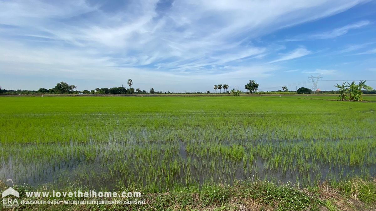 ขายด่วนที่ดิน บางชำอ้อ หนองเสือ คลอง8 ซอยอินทร์อนุสรณ์ ปทุมธานี ขายถูกมาก รูปแปลงสวย ราคา 750,000 บาท เนื้อที่ 612 ตรว. หน้ากว้าง 40 เมตร ลึก 60 เมตร ตารางวาละ 1,255 บาท หันหน้าไปทางทิศใต้