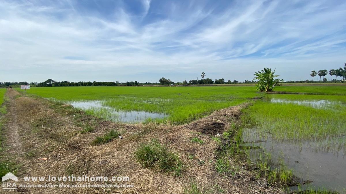 ขายด่วนที่ดิน บางชำอ้อ หนองเสือ คลอง8 ซอยอินทร์อนุสรณ์ ปทุมธานี ขายถูกมาก รูปแปลงสวย ราคา 750,000 บาท เนื้อที่ 612 ตรว. หน้ากว้าง 40 เมตร ลึก 60 เมตร ตารางวาละ 1,255 บาท หันหน้าไปทางทิศใต้