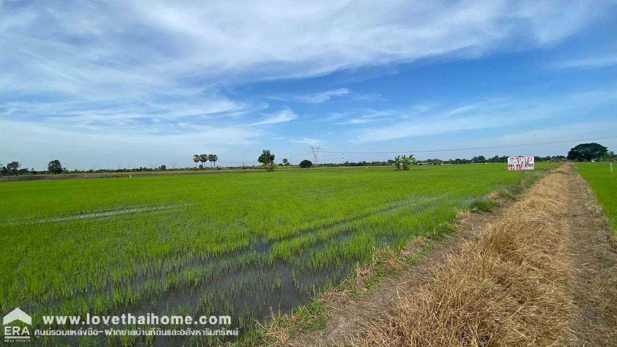 ขายด่วนที่ดิน บางชำอ้อ หนองเสือ คลอง8 ซอยอินทร์อนุสรณ์ ปทุมธานี ขายถูกมาก รูปแปลงสวย ราคา 750,000 บาท เนื้อที่ 612 ตรว. หน้ากว้าง 40 เมตร ลึก 60 เมตร ตารางวาละ 1,255 บาท หันหน้าไปทางทิศใต้