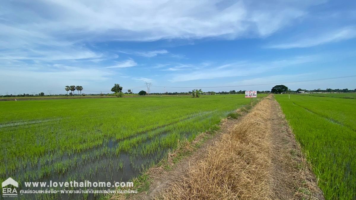 ขายด่วนที่ดิน บางชำอ้อ หนองเสือ คลอง8 ซอยอินทร์อนุสรณ์ ปทุมธานี ขายถูกมาก รูปแปลงสวย ราคา 750,000 บาท เนื้อที่ 612 ตรว. หน้ากว้าง 40 เมตร ลึก 60 เมตร ตารางวาละ 1,255 บาท หันหน้าไปทางทิศใต้