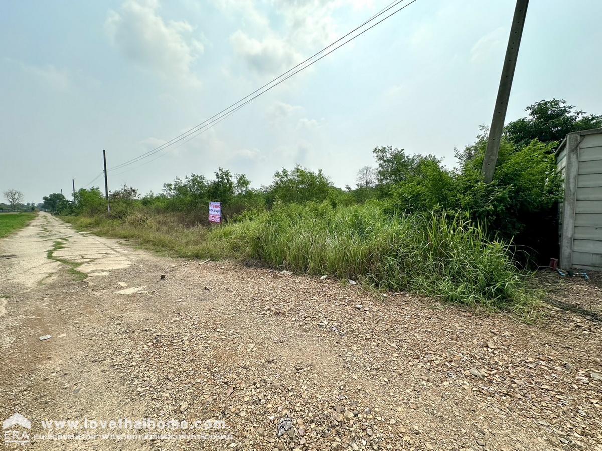 ขายที่ดิน ในซอยคลองสี่ตะวันตก 31 คลองหลวง ปทุมธานี พื้นที่ 800 ตรว. แปลงสี่เหลี่ยมผืนผ้าสวย ท้ายซอยมีถนนซีเมนต์ตัดใหม่ (คลองสาม) ราคาถูกมาก