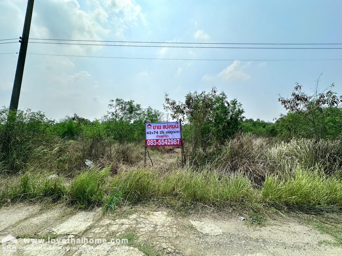 ขายที่ดิน ในซอยคลองสี่ตะวันตก 31 คลองหลวง ปทุมธานี พื้นที่ 800 ตรว. แปลงสี่เหลี่ยมผืนผ้าสวย ท้ายซอยมีถนนซีเมนต์ตัดใหม่ (คลองสาม) ราคาถูกมาก