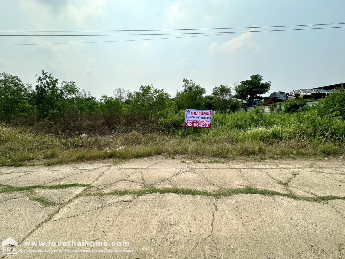 ขายที่ดิน ในซอยคลองสี่ตะวันตก 31 คลองหลวง ปทุมธานี พื้นที่ 800 ตรว. แปลงสี่เหลี่ยมผืนผ้าสวย ท้ายซอยมีถนนซีเมนต์ตัดใหม่ (คลองสาม) ราคาถูกมาก