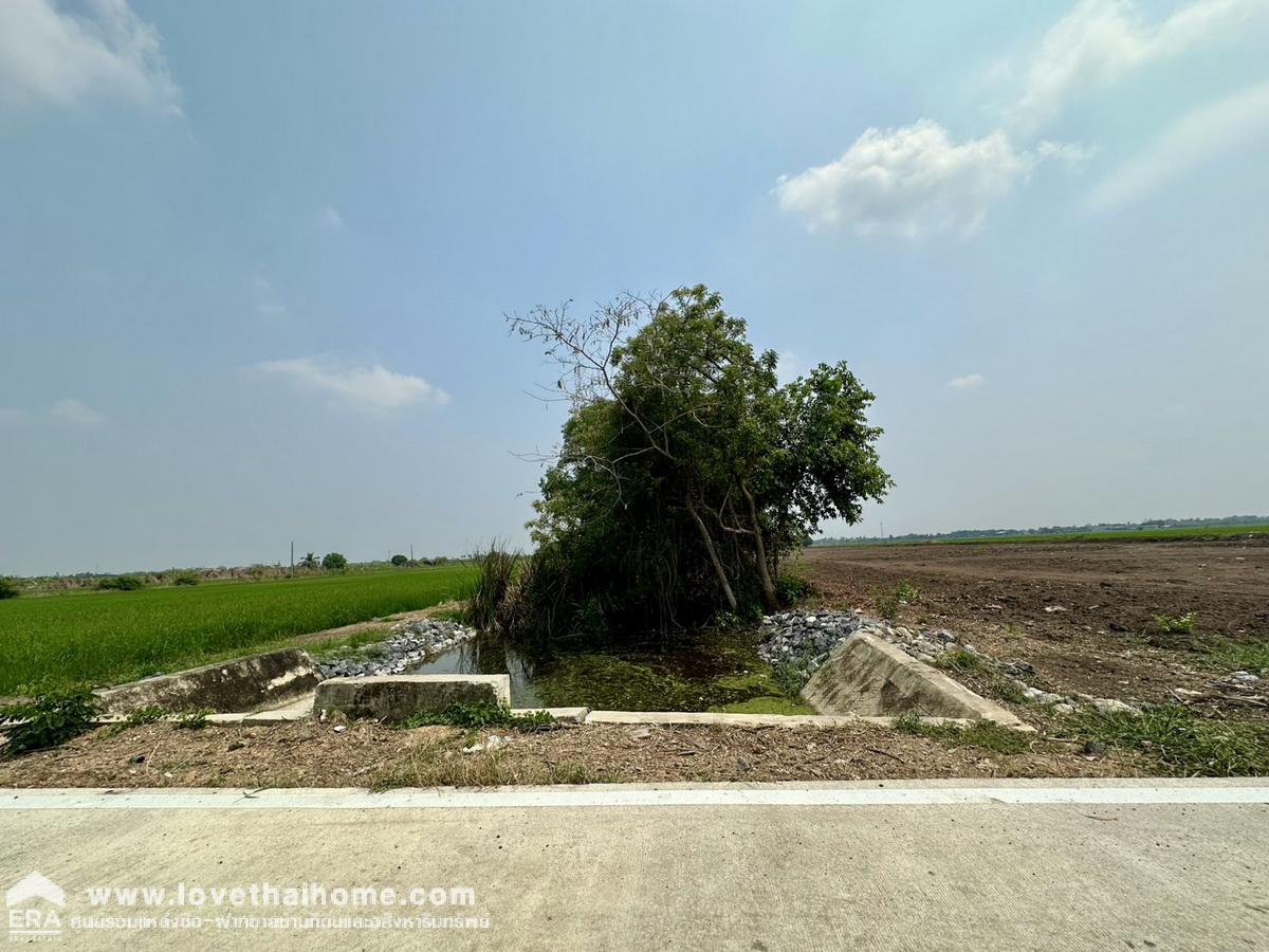 ขายที่ดิน ในซอยคลองสี่ตะวันตก 31 คลองหลวง ปทุมธานี พื้นที่ 800 ตรว. แปลงสี่เหลี่ยมผืนผ้าสวย ท้ายซอยมีถนนซีเมนต์ตัดใหม่ (คลองสาม) ราคาถูกมาก