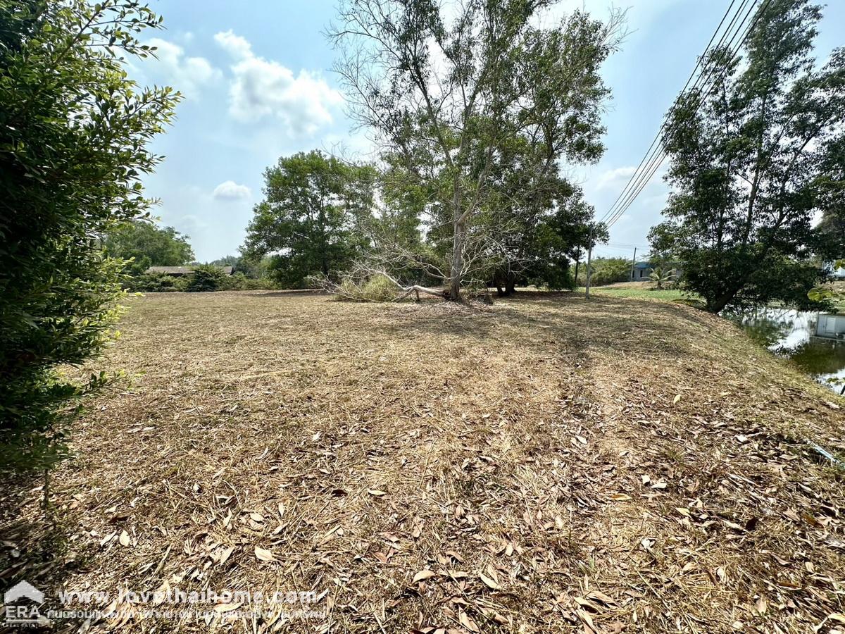 ขายที่ดินพร้อมสิ่งปลูกสร้าง ตำบลนายายอาม จังหวัดจันทบุรี 9-1-63 ไร่ ติดถนนสุขุมวิท หันหน้าทางทิศเหนือ โฉนดครุฑแดง ราคานี้หาไม่ได้อีกแล้ว 