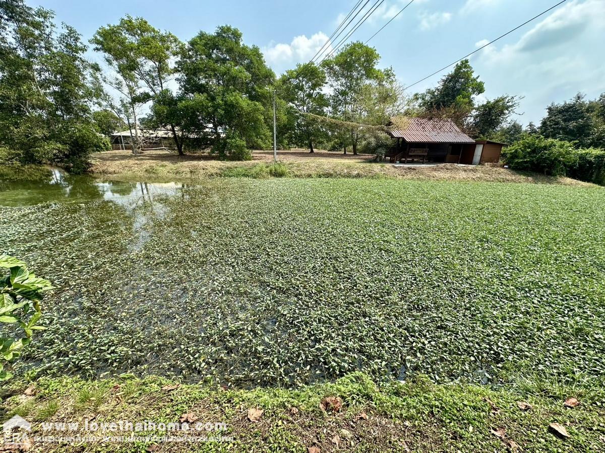 ขายที่ดินพร้อมสิ่งปลูกสร้าง ตำบลนายายอาม จังหวัดจันทบุรี 9-1-63 ไร่ ติดถนนสุขุมวิท หันหน้าทางทิศเหนือ โฉนดครุฑแดง ราคานี้หาไม่ได้อีกแล้ว 