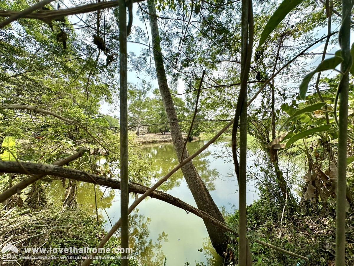 ขายที่ดินพร้อมสิ่งปลูกสร้าง ตำบลนายายอาม จังหวัดจันทบุรี 9-1-63 ไร่ ติดถนนสุขุมวิท หันหน้าทางทิศเหนือ โฉนดครุฑแดง ราคานี้หาไม่ได้อีกแล้ว 