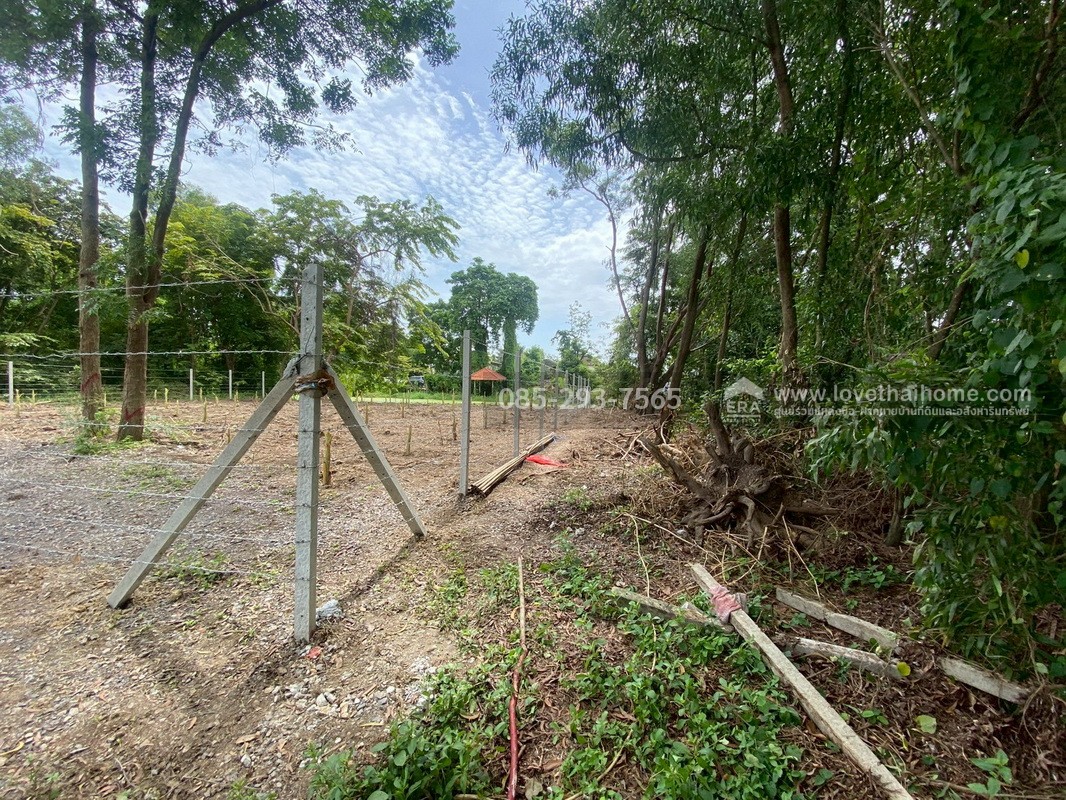 ขายที่ดิน หมู่บ้านเลคการ์เด้นวิลล์ รังสิต คลอง3 ธัญบุรี รังสิต-นครนายก68 พื้นที่ 155 ตรว. ด้านหลังติดเลค ใกล้ฟิวเจอร์พาร์ค รังสิต