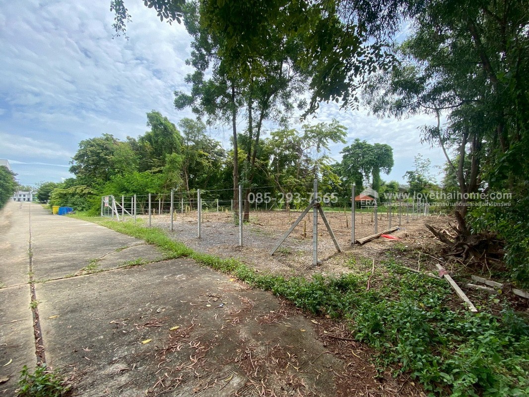 ขายที่ดิน หมู่บ้านเลคการ์เด้นวิลล์ รังสิต คลอง3 ธัญบุรี รังสิต-นครนายก68 พื้นที่ 155 ตรว. ด้านหลังติดเลค ใกล้ฟิวเจอร์พาร์ค รังสิต