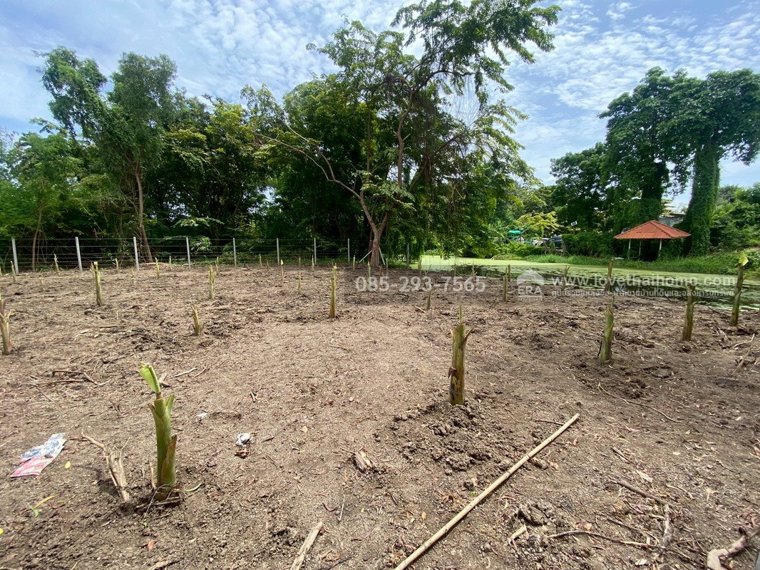 ขายที่ดิน หมู่บ้านเลคการ์เด้นวิลล์ รังสิต คลอง3 ธัญบุรี รังสิต-นครนายก68 พื้นที่ 155 ตรว. ด้านหลังติดเลค ใกล้ฟิวเจอร์พาร์ค รังสิต