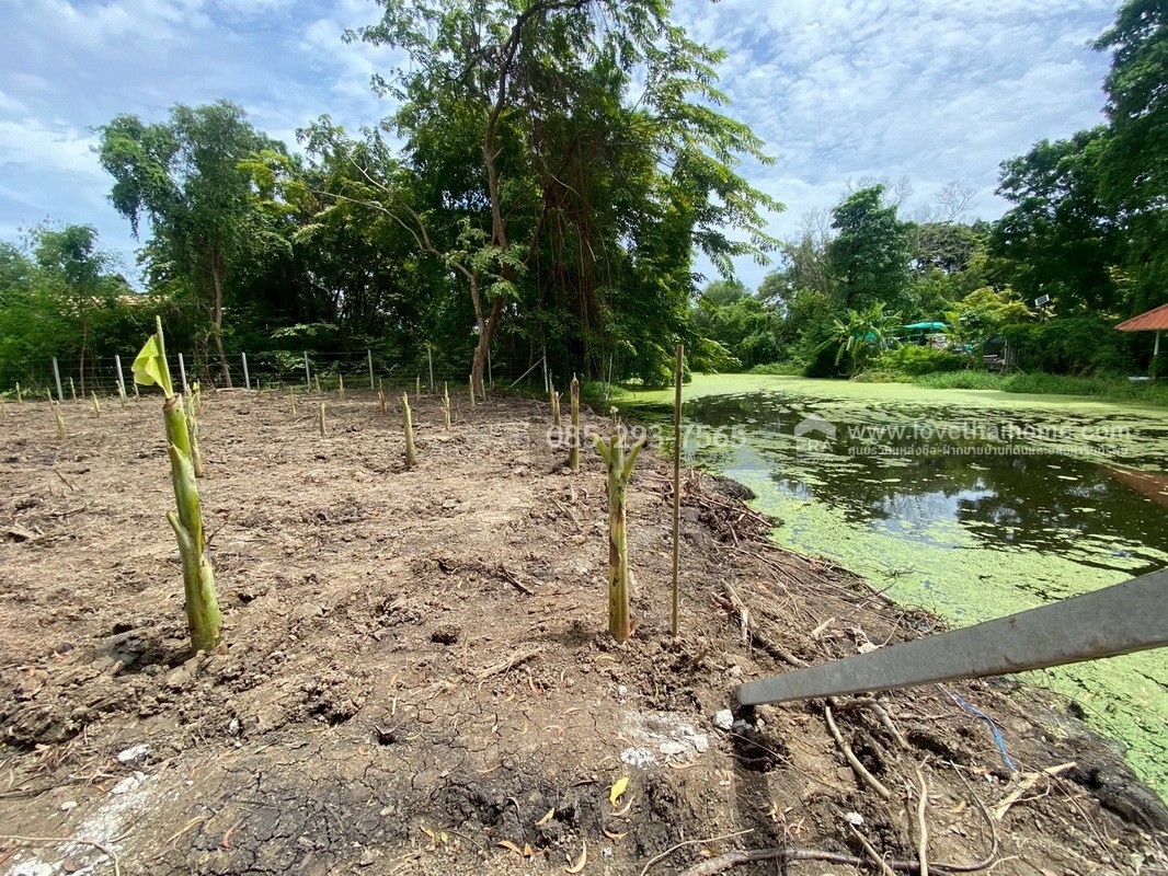 ขายที่ดิน หมู่บ้านเลคการ์เด้นวิลล์ รังสิต คลอง3 ธัญบุรี รังสิต-นครนายก68 พื้นที่ 155 ตรว. ด้านหลังติดเลค ใกล้ฟิวเจอร์พาร์ค รังสิต