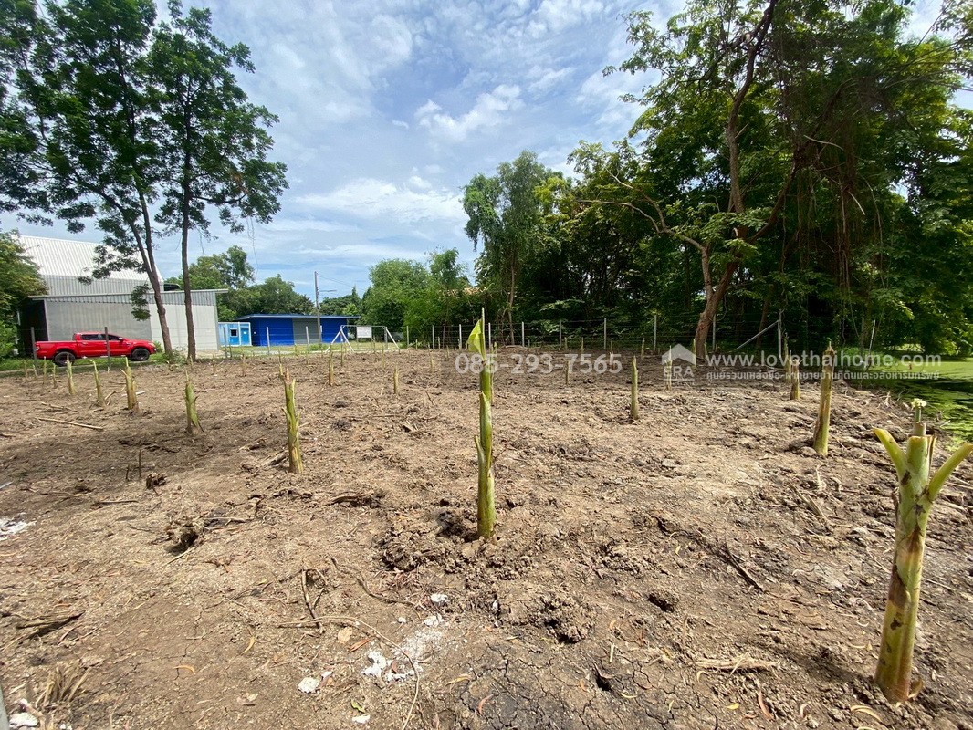 ขายที่ดิน หมู่บ้านเลคการ์เด้นวิลล์ รังสิต คลอง3 ธัญบุรี รังสิต-นครนายก68 พื้นที่ 155 ตรว. ด้านหลังติดเลค ใกล้ฟิวเจอร์พาร์ค รังสิต
