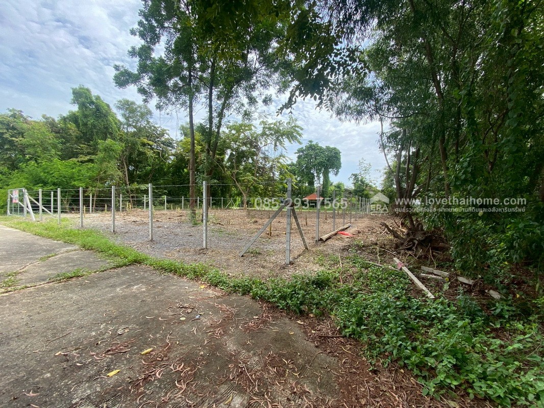 ขายที่ดิน หมู่บ้านเลคการ์เด้นวิลล์ รังสิต คลอง3 ธัญบุรี รังสิต-นครนายก68 พื้นที่ 155 ตรว. ด้านหลังติดเลค ใกล้ฟิวเจอร์พาร์ค รังสิต