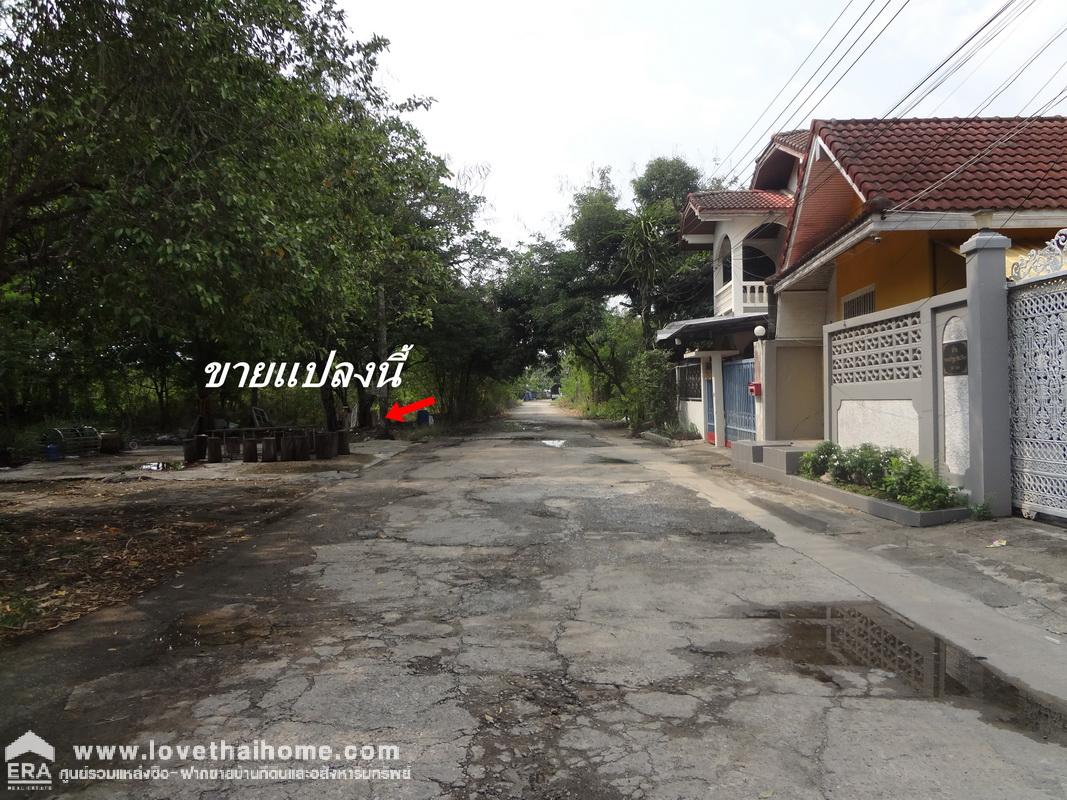 ขายที่ดินถมแล้ว ถนนบรมราชชนนี76 พื้นที่ 137 ตารางวา ใกล้วงแหวนพุทธมณฑลสาย3 ถนนจรัญสนิทวงศ์ ใกล้ตลาดธนบุรี2 เหมาะปลูกบ้าน/ทำโกดัง