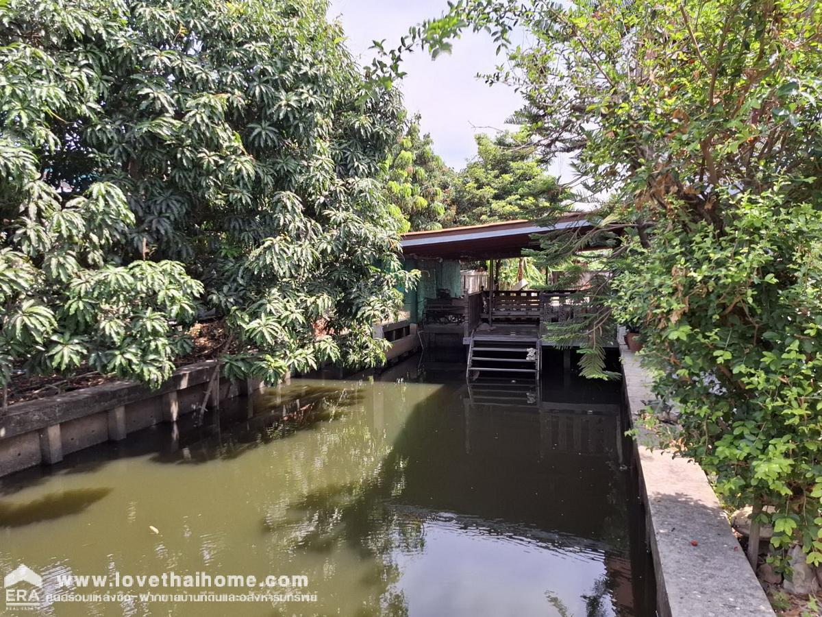ขายบ้านเดี่ยว ในซอยแก้วอินทร์3 บางใหญ่ นนทบุรี ใกล้รถไฟฟ้าคลองบางไผ่ พื้นที่ 347 ตรว. ติดริมคลองวัดเสาหิน มีที่จอดรถจำนวนมาก เหมาะพักอาศัย และทำคาเฟ่