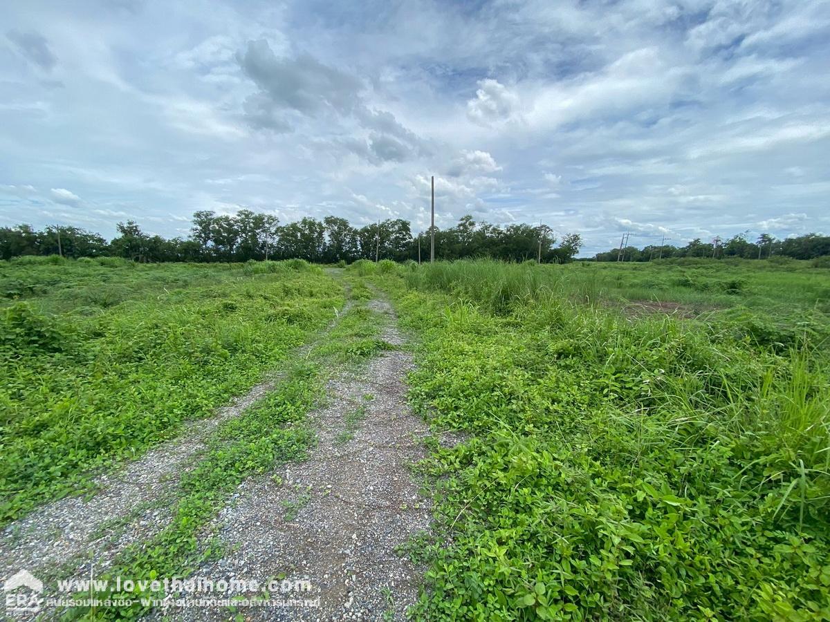 ขายที่ดิน 2 ไร่ 62 ตรว. บ้านนา นครนายก ใกล้ถนนรังสิต–นครนายก เพียง 1 กม. ติดสระน้ำ เหมาะสร้างรีสอร์ต/บ้านพักตากอากาศ