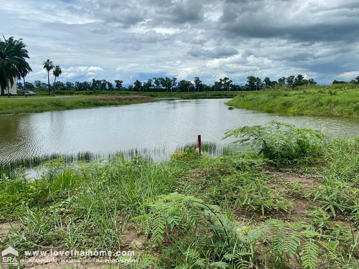 ขายที่ดิน 2 ไร่ 62 ตรว. บ้านนา นครนายก ใกล้ถนนรังสิต–นครนายก เพียง 1 กม. ติดสระน้ำ เหมาะสร้างรีสอร์ต/บ้านพักตากอากาศ