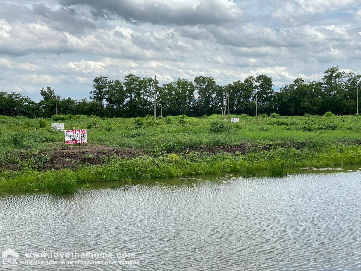 ขายที่ดิน 2 ไร่ 62 ตรว. บ้านนา นครนายก ใกล้ถนนรังสิต–นครนายก เพียง 1 กม. ติดสระน้ำ เหมาะสร้างรีสอร์ต/บ้านพักตากอากาศ